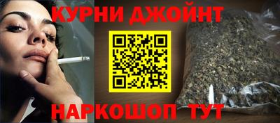 стафф Кингисепп