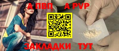 стафф Кингисепп