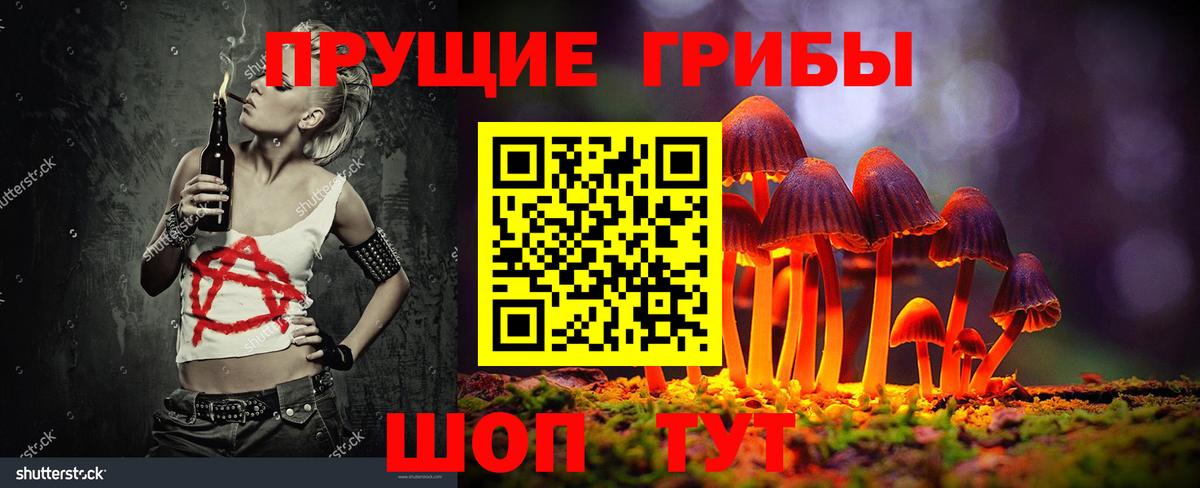 Иркутск  наркота  Вход с VPN  Галлюциногенные грибы Psilocybe  Псилоцибиновые грибы мицелий 