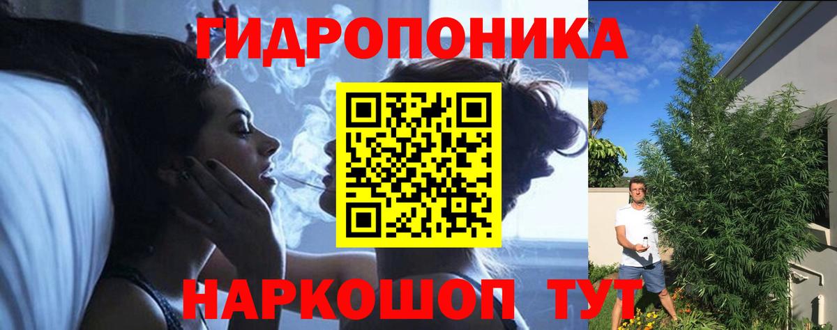 Шишки марихуана конопля Иркутск